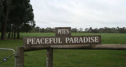 Listen to the silence
Drink in the peacefulness
Get drunk on the atmosphere