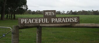 Listen to the silence
Drink in the peacefulness
Get drunk on the atmosphere