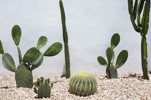 Superior Double room with Bath | View from room - Tessa's on the Beach Boutique Hotel (Bilinga)