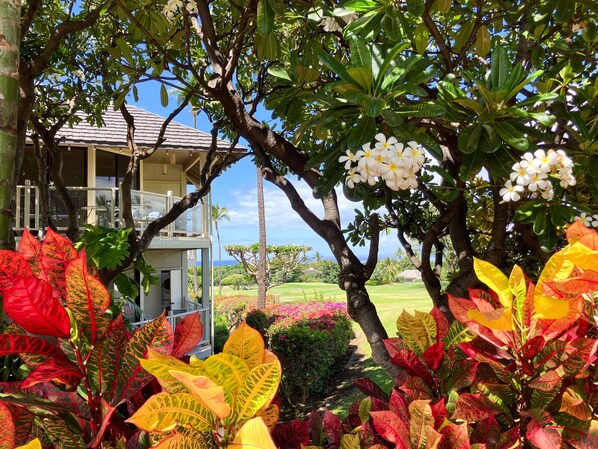 A building with a balcony overlooking a landscaped garden and a view of the ocean.