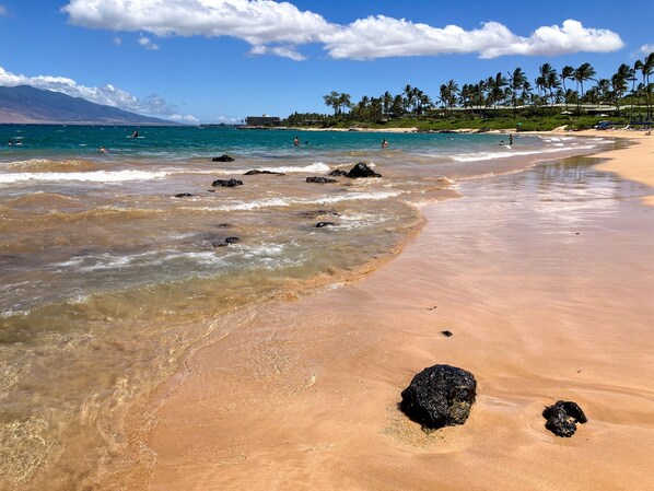 Enjoy the serene beach scene with turquoise waters, sandy shore, and palm trees.