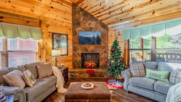 Smart TV, chimenea y reproductor de DVD