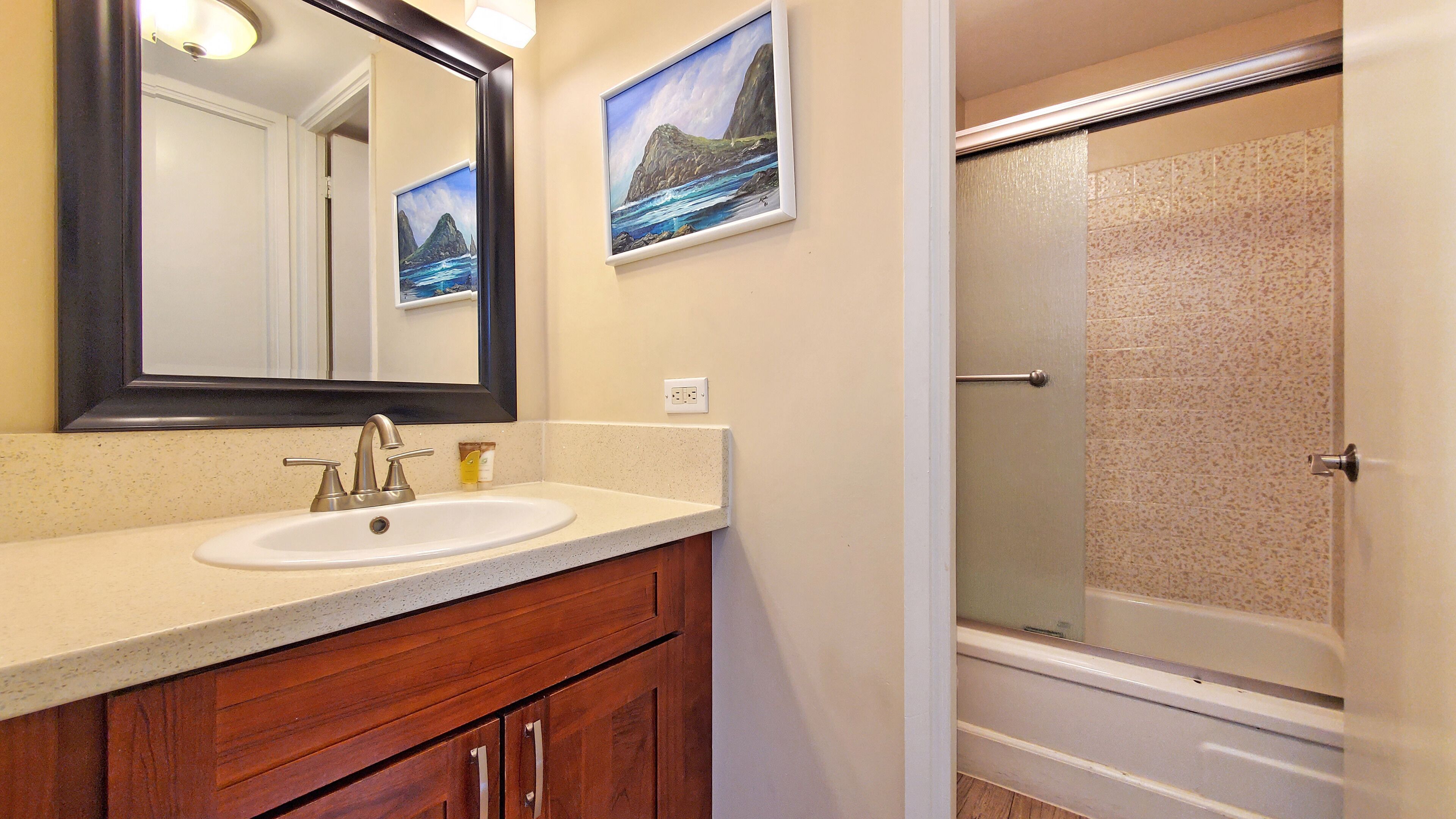 Combined shower/tub, hair dryer, towels, soap