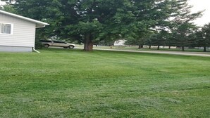 A grassy yard with a white building and a tree. - Tent Camping for Sturgis Rally 1 (Sturgis)