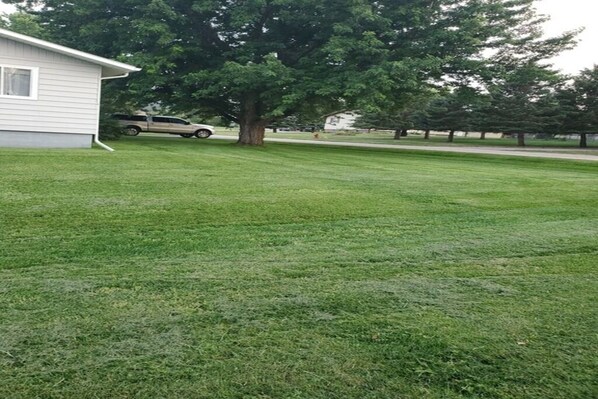 A grassy yard with a white building and a tree. - Tent Camping for Sturgis Rally 1 (Sturgis)