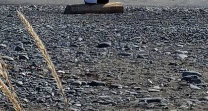 Lovely 3 bedroom/ 2bath near the famous Kenai River!