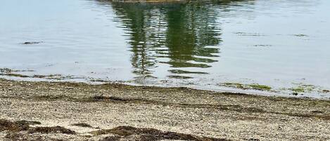 Vlak bij het strand, ligstoelen