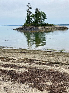 A rocky island with trees and calm water. - Lovely tranquil in-town cottage (Brunswick)