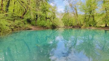 Une rivière aux eaux claires et turquoise, bordée d’une végétation luxuriante.