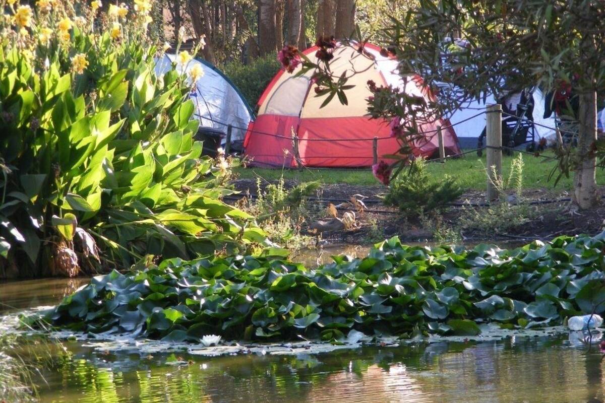 Empty Lot (Bring your own Tent) | Escritorio, decoración individual, mobiliario individual y ropa de cama