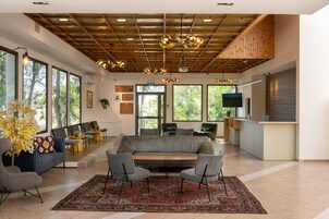 Un interior moderno con techo de madera, ventanas amplias, un sofá, sillas, un tapete y una zona de cocina.