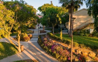 Un patio ajardinado con un sendero central, rodeado de árboles y plantas con flores.