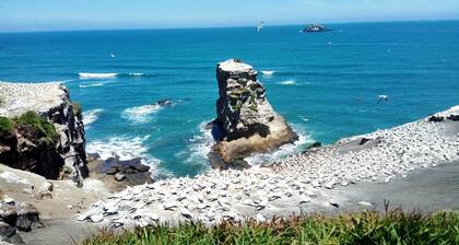 MURIWAI APT/UNIT