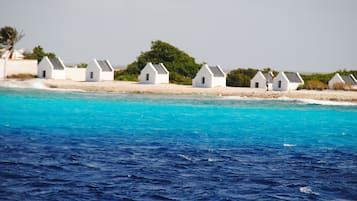 Playa en los alrededores