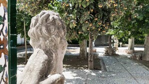 A stone lion statue in a courtyard with tiled flooring and trees bearing fruit. - Orchard of the Purisima (Santa Fe)