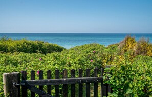 Stroll through a serene coastal garden with lush greenery and vibrant blooms.