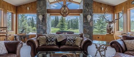 Televisión, chimenea, reproductor de DVD y oficina