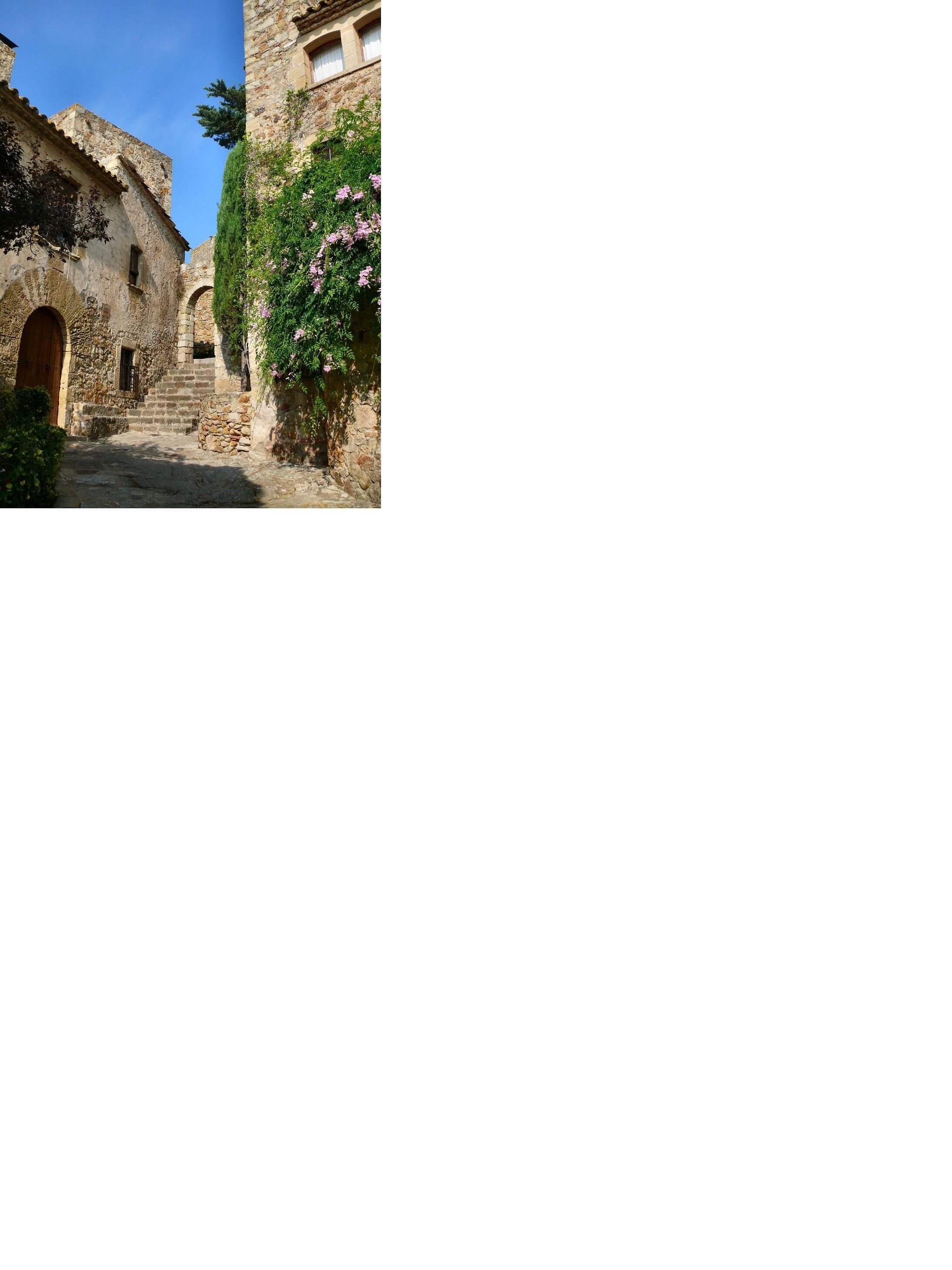 A narrow stone pathway leading to a rustic building with a wooden door and a stone staircase.