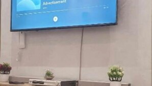 Un televisor de pantalla plana montado en la pared sobre un mueble de madera con dos plantas en macetas.
