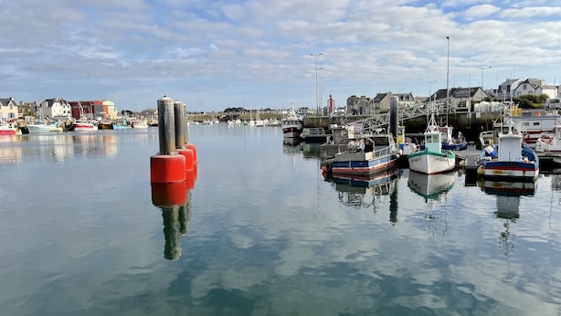 Un port de plaisance avec des bateaux amarrés, une eau calme et des bâtiments en arrière-plan.