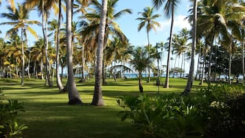 Bungalow | View from room