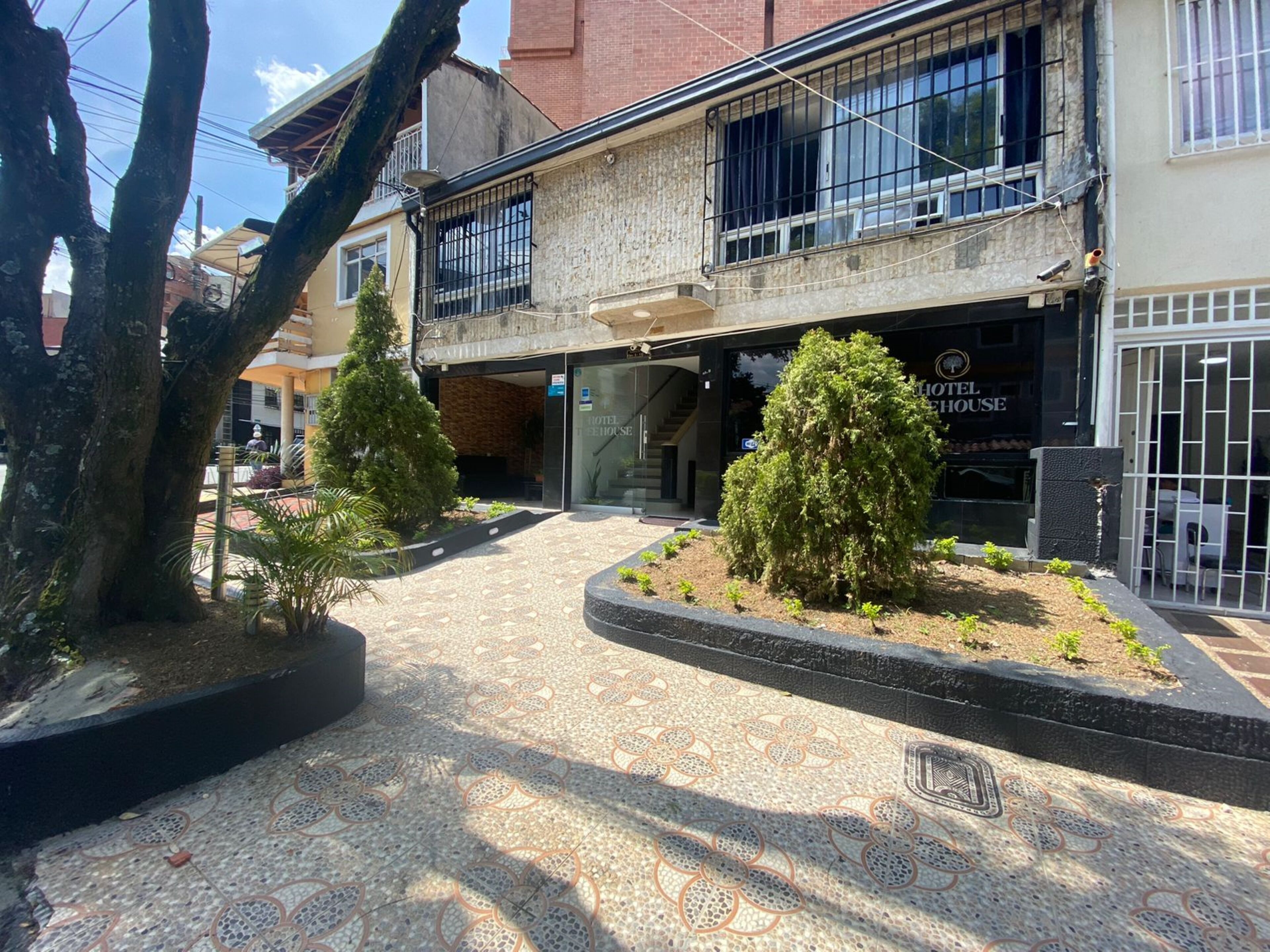 Photo - HOTEL TREE HOUSE MEDELLiN