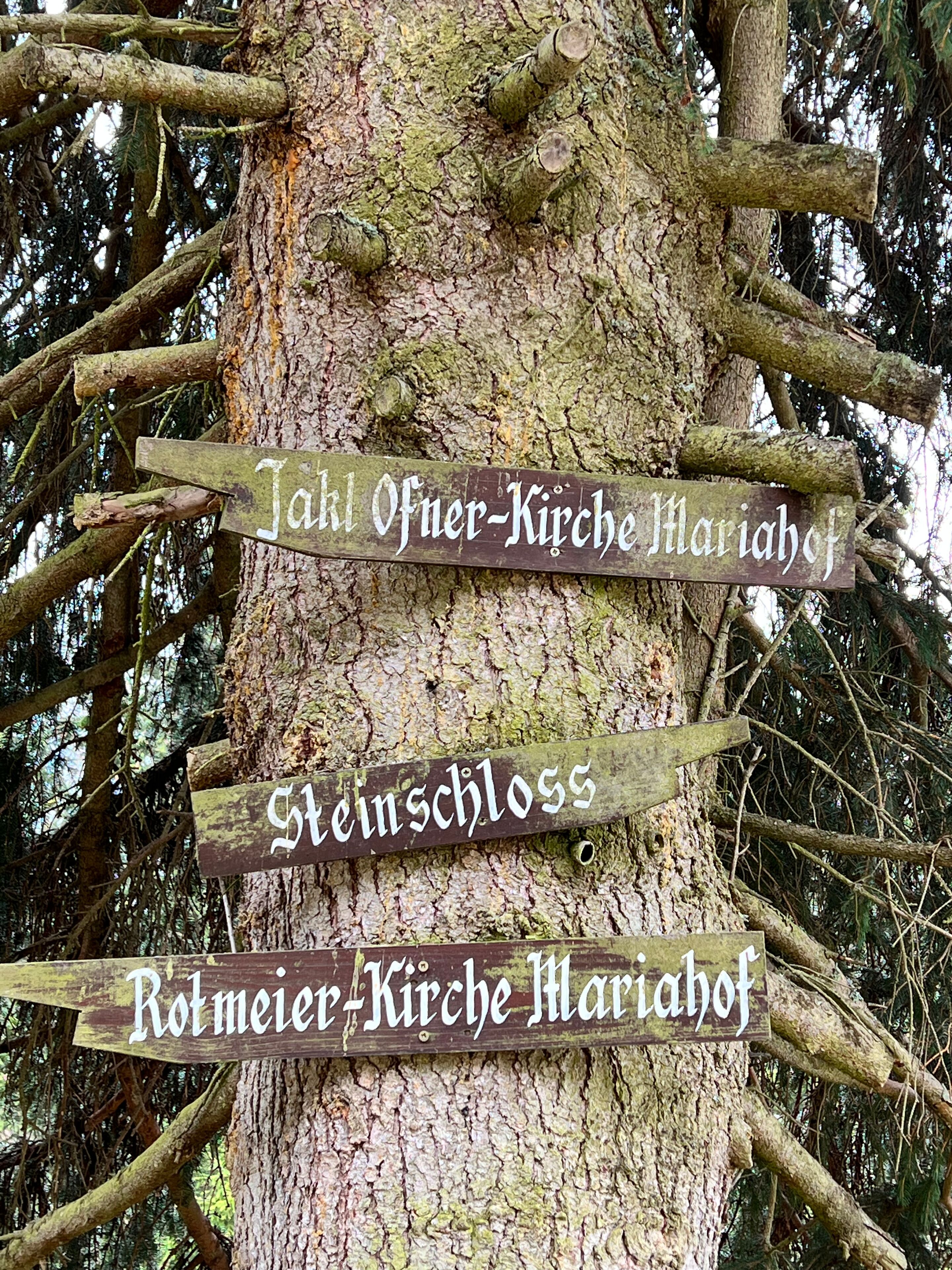 Un tronco de árbol con carteles de madera.