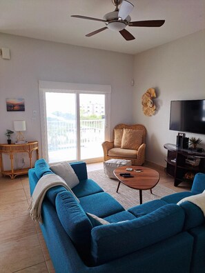 Smart TV, DVD player, books