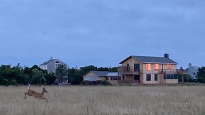 A large house with a spacious front yard and a running deer in the foreground. - Up-island vibe, down-island conveniences. (Edgartown)