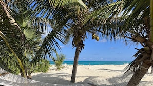 A hammock between palm trees on a sandy beach with a clear blue ocean in the background.