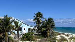 A light blue house with a porch, surrounded by palm trees and a beach.