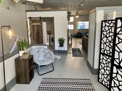 Spacious 2-story Apt on Carolina Ln w/mural! Right in the heart of Downtown AVL