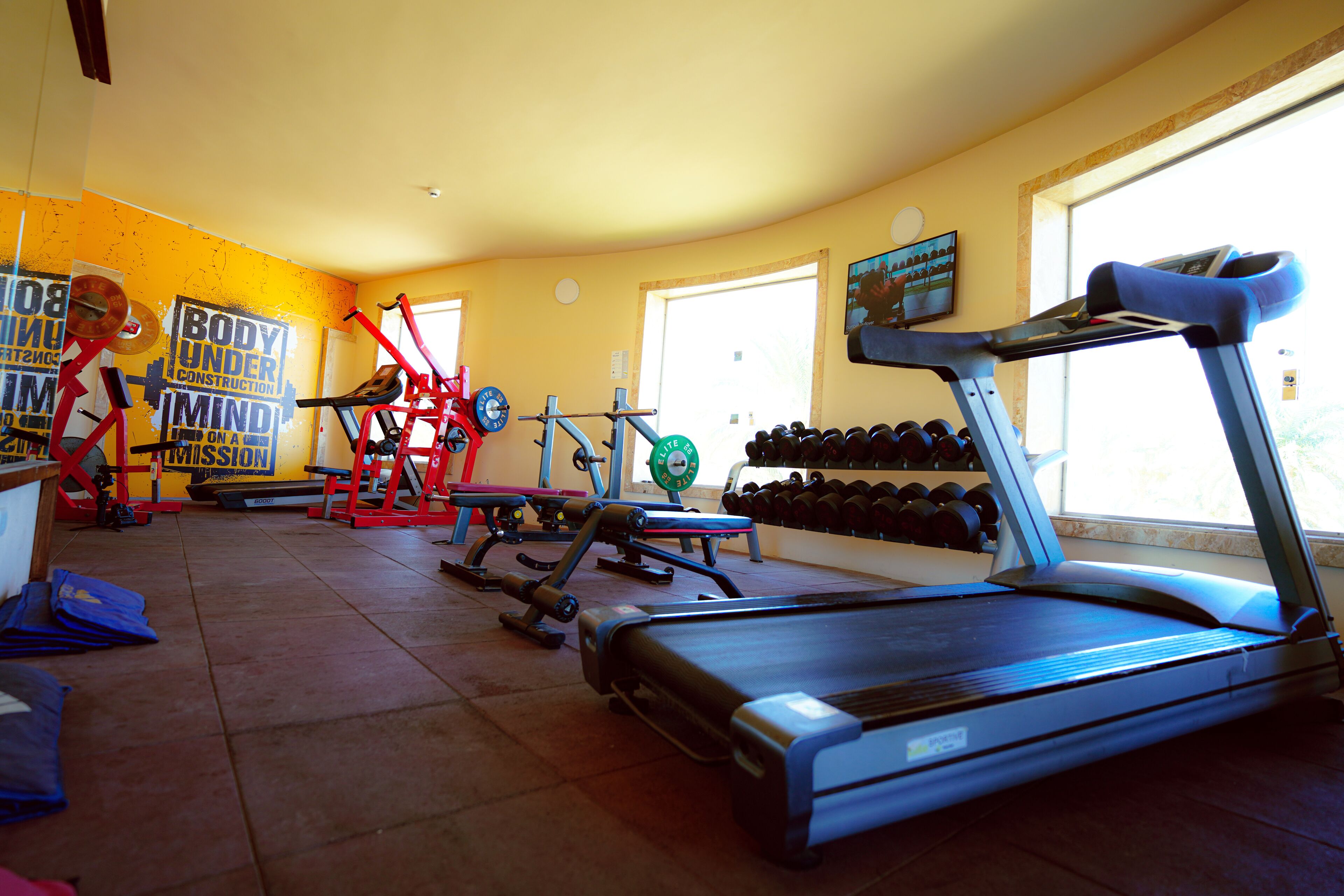A gym with a treadmill, weight machines, and dumbbells.