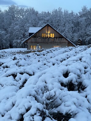 Exterior - Loft Naturalpina Dolomites (Veneto)