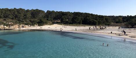 بالقرب من الشاطئ، كراسي للتشمس، مناشف للشاطئ