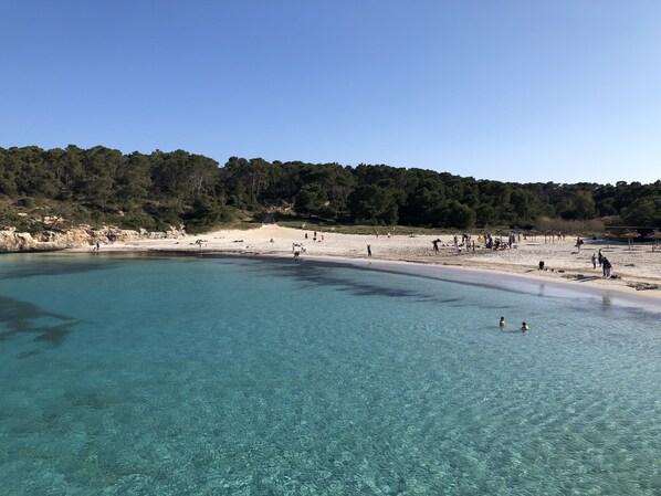 Plage à proximité, chaises longues, serviettes de plage