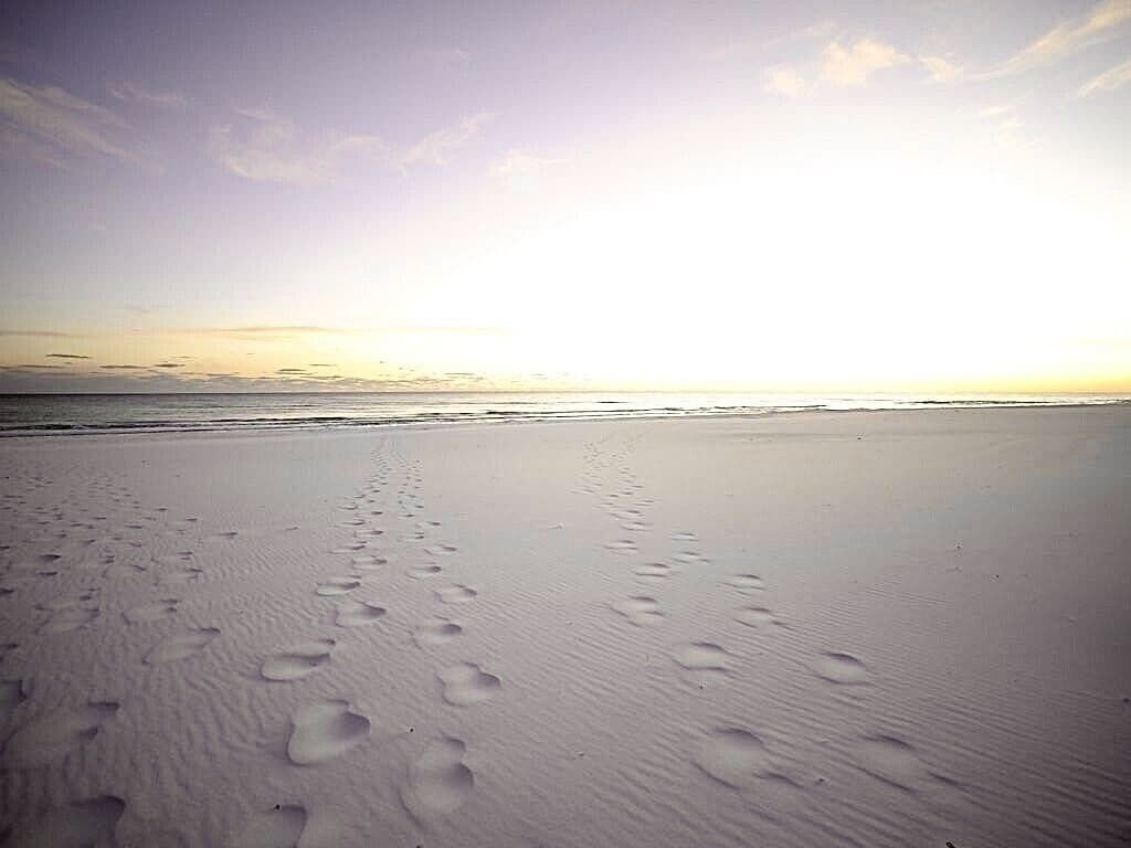 Una playa con huellas que conducen al agua.