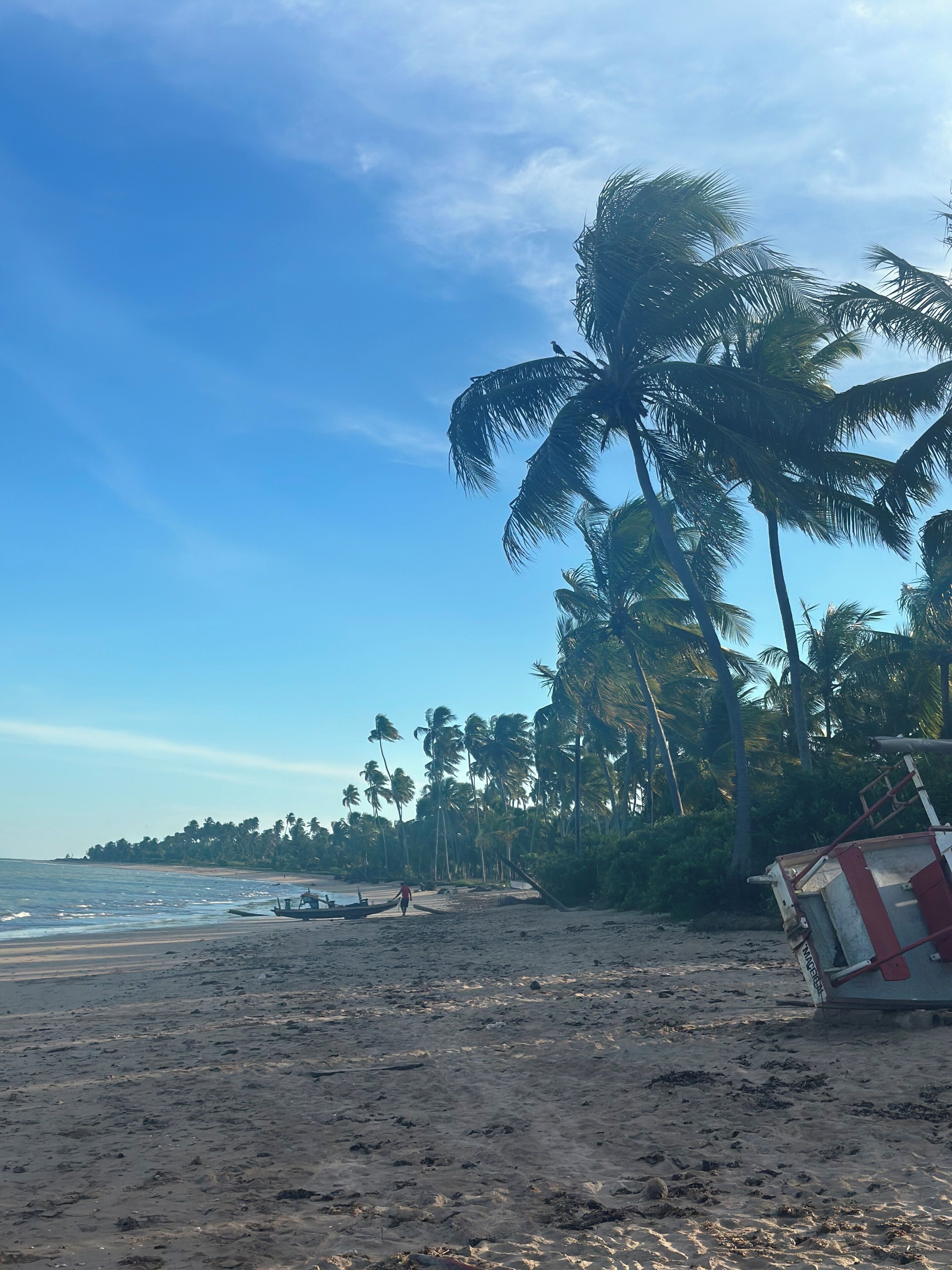 Una playa con palmeras, un bote y un puesto de salvavidas.