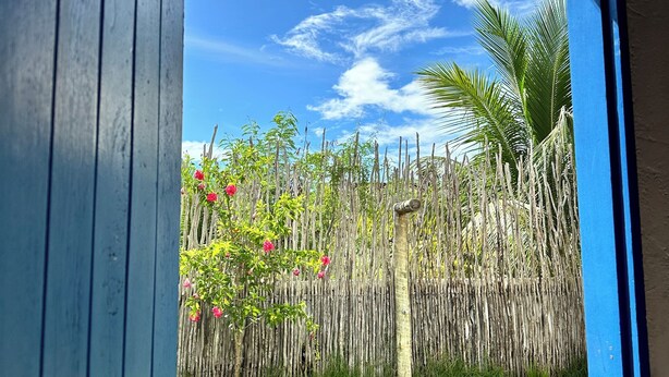 Une vue à travers une porte à cadre bleu, donnant sur une cour verdoyante avec une clôture en bambou, un palmier et un ciel dégagé.