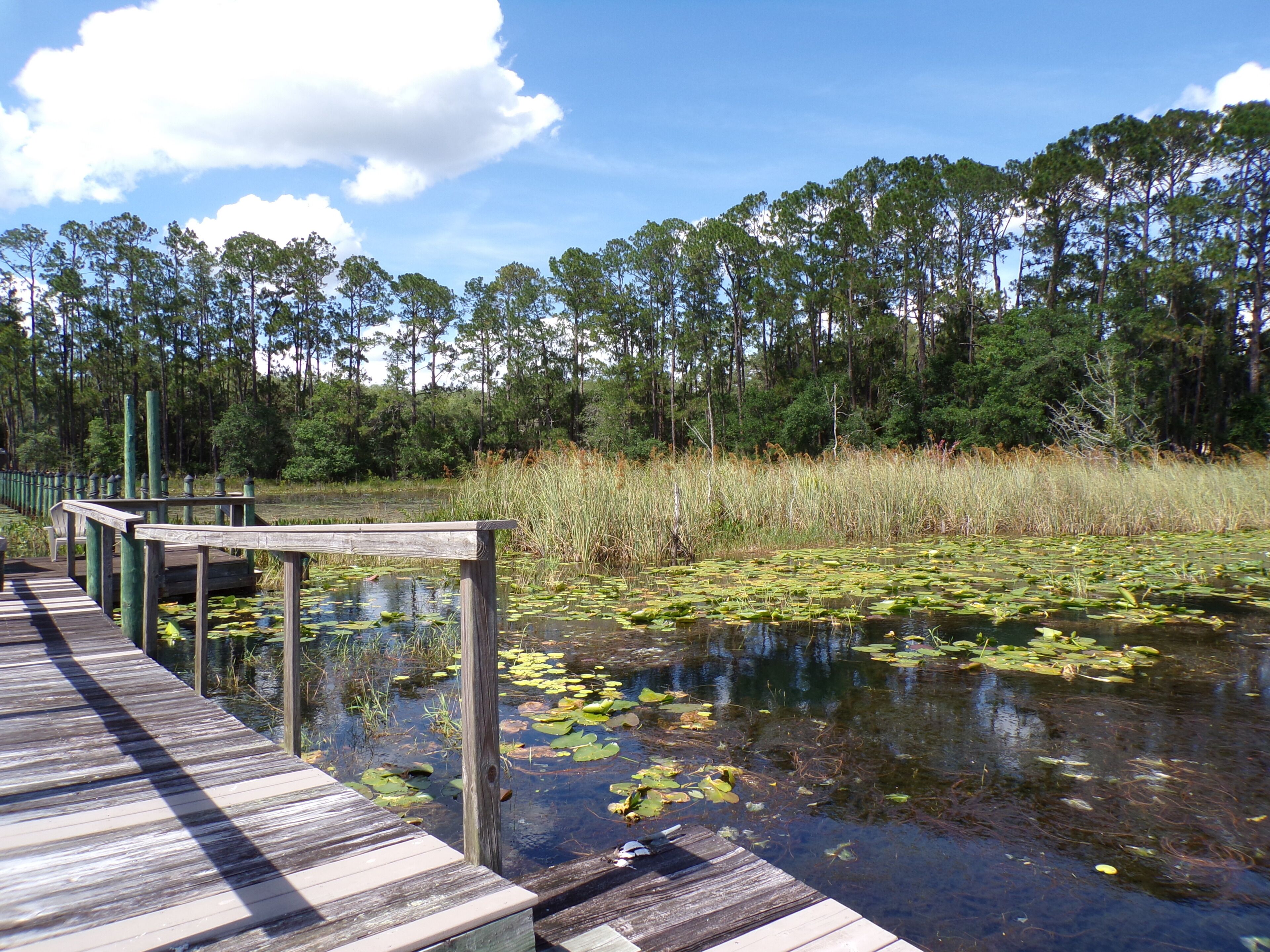 Family-sized lakehouse w/ dock and water access. Close to Gainesville!