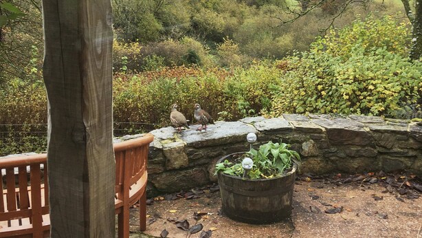 Une terrasse avec un mur en pierre, un banc en bois et une vue sur une vallée verdoyante.