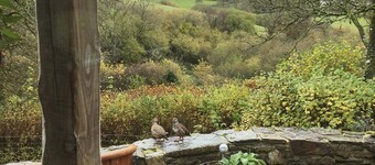 2 Lower Spire, a rural retreat like no other!