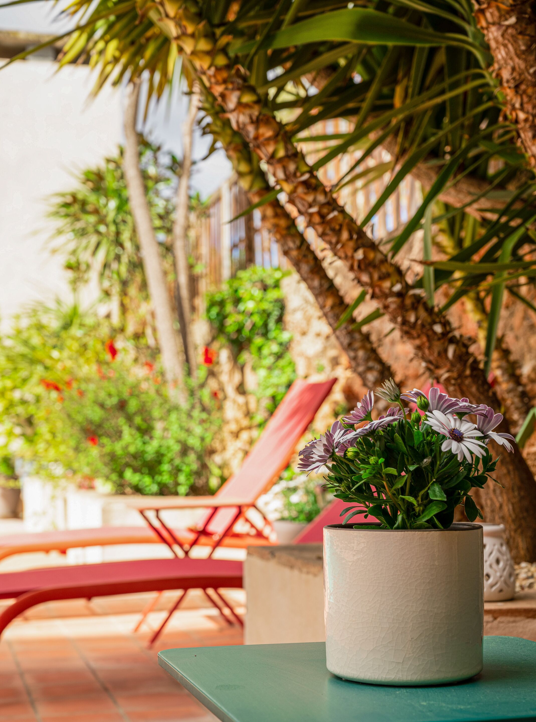A potted plant with flowers on a table in a sunny outdoor area with a red chair and a palm tree in the background.