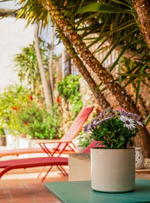 Jardin