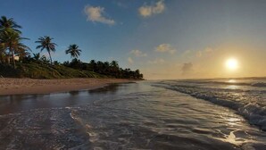 Ein Strand mit Palmen und einem Sonnenuntergang.