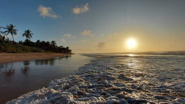 Ein Strand mit Palmen und einem Sonnenuntergang.