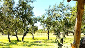 A wooden fence with a pergola structure in the foreground, a grassy field, and trees in the background.