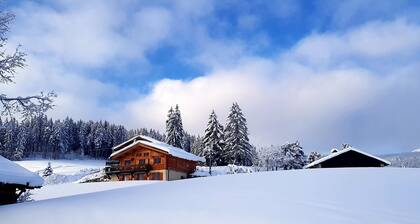 Studio Porte du mont blanc Combloux