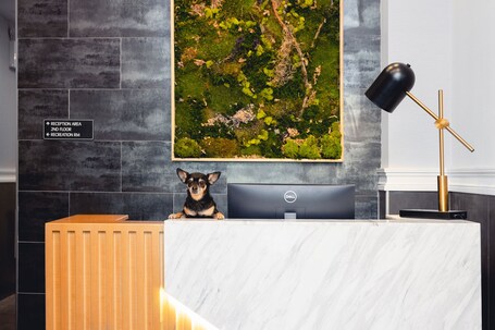 The Modernist Hotel - view 2