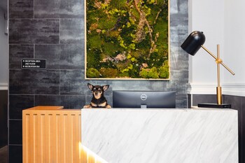 Reception area at The Modernist Hotel